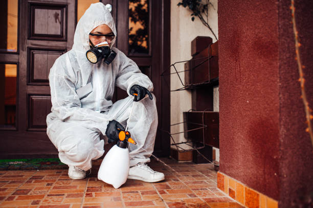Attic and Crawl Space Rodent Treatment in Ocean City