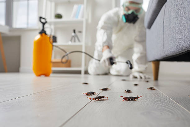 Commercial Rodent Management in Ocean City